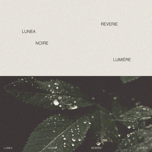 与子做爱乱伦视频
