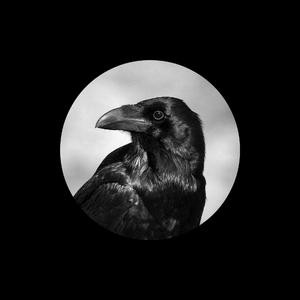 与子做爱乱伦视频
