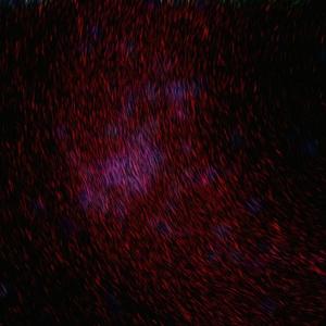 与子做爱乱伦视频
